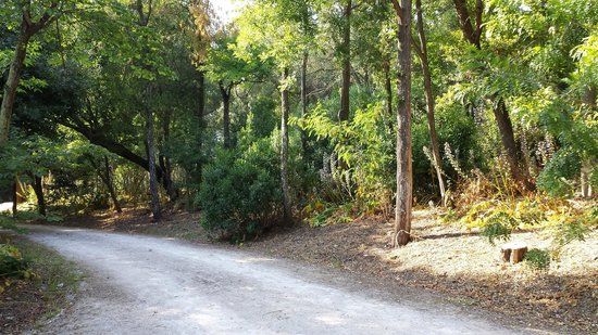 Park of Necessidades